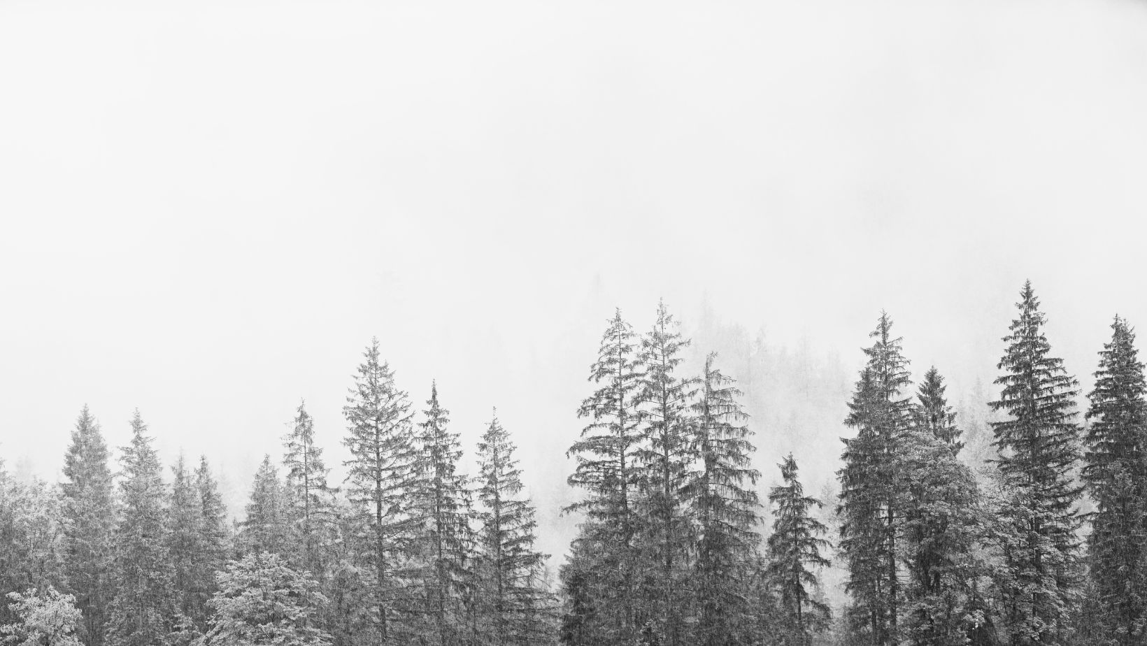 Copywriting activism